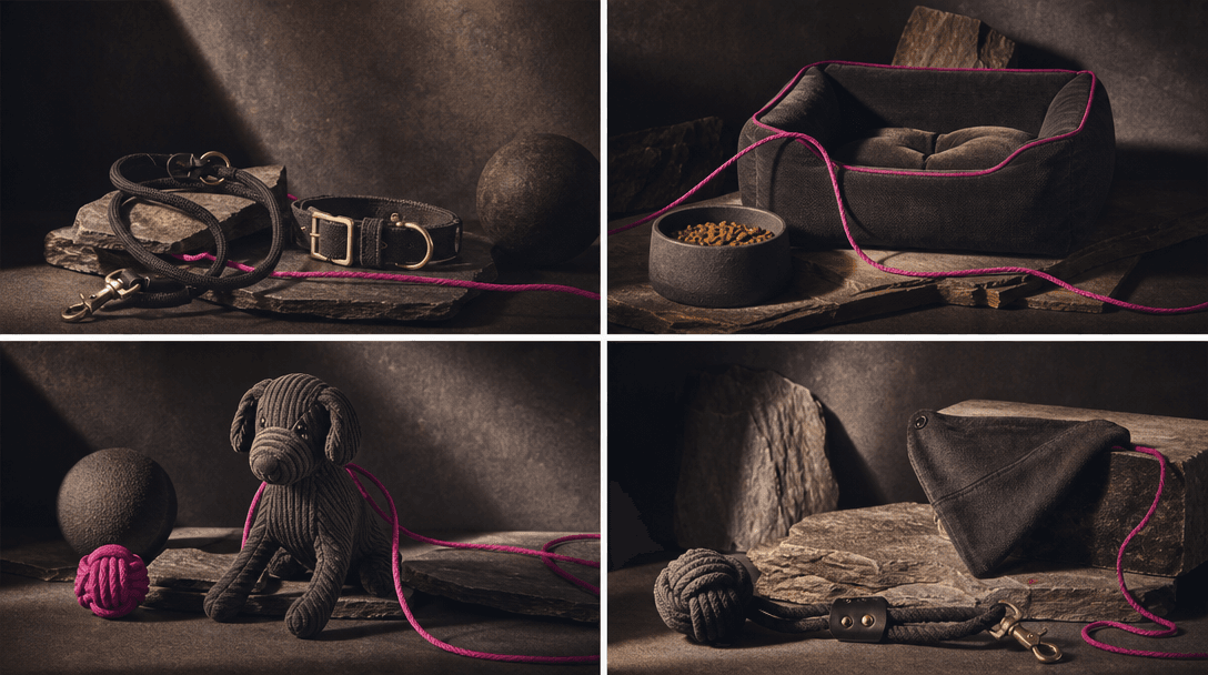 Four coordinated pet product arrangements connected by the same charcoal backdrop, warm spotlight, sculpted stone, and h