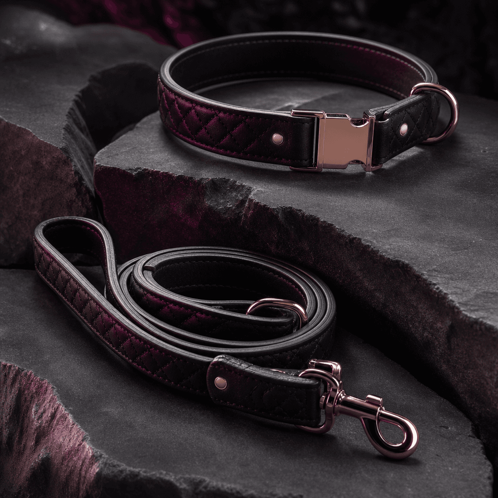 A luxury leather dog collar and matching leash displayed on sculpted dark stone with precise metal details, photographed