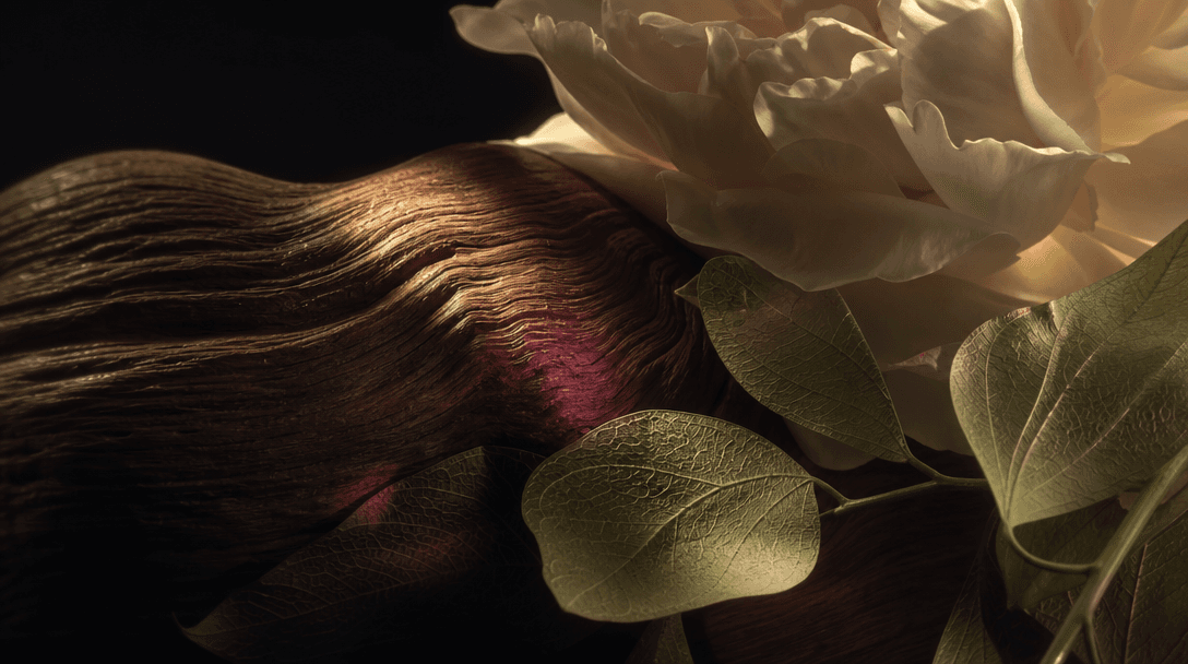 Close study of walnut grain beside soft cream petals and translucent green leaves, arranged as a minimalist material lan