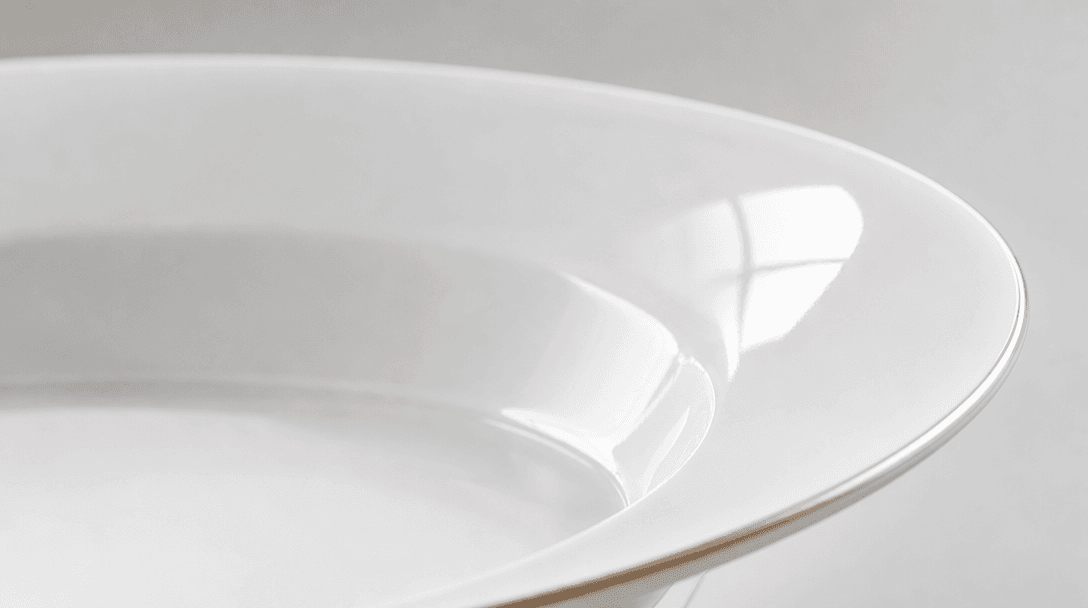 Close-up dishware detail showing premium porcelain texture, subtle gloss finish, light reflection on curved rim, profess