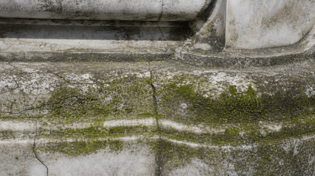 Close-up detail of photorealistic stone texture: weathered marble, moss growth, age cracks, shadow details visible