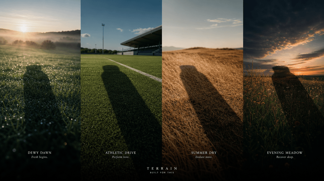 Four distinct grass environments arranged as a continuous cinematic landscape: dewy dawn, bright athletic turf, dry summ