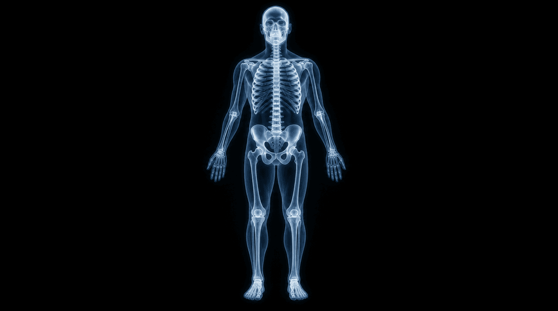 Complete X-ray effect visualization, full body or full subject skeleton visible, realistic anatomical positioning, glowi