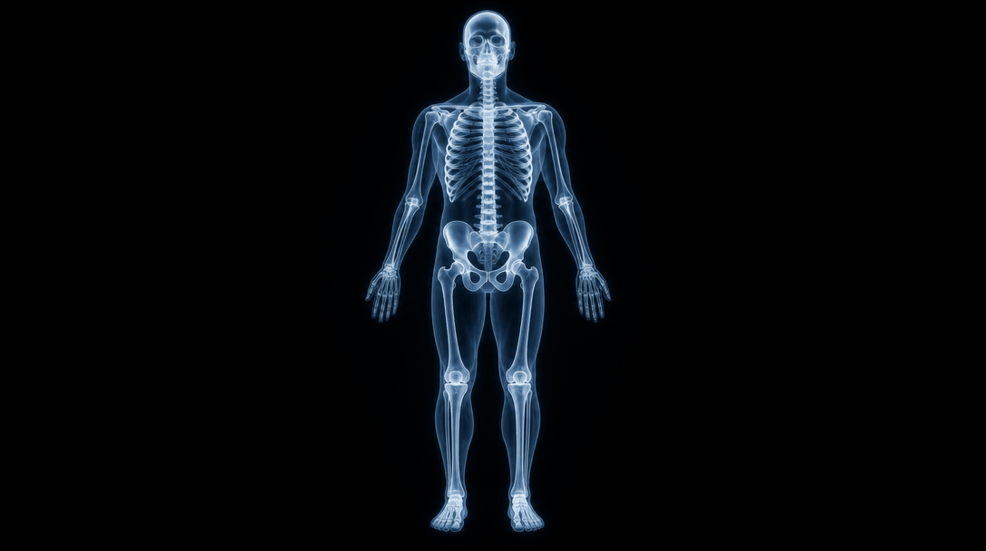 Complete X-ray effect visualization, full body or full subject skeleton visible, realistic anatomical positioning, glowi