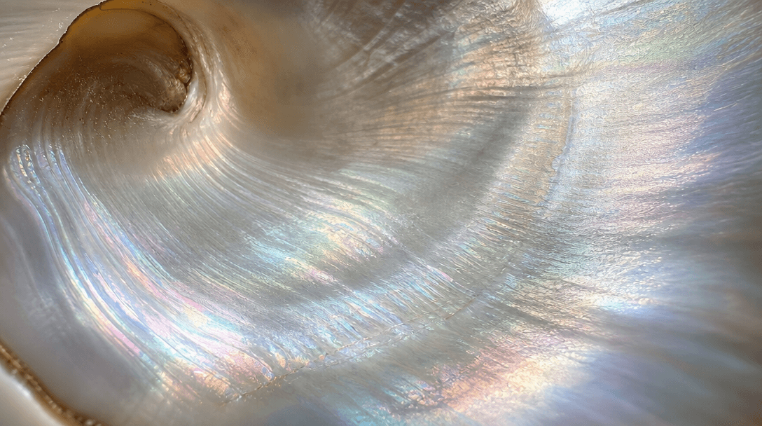Close-up of smooth seashell interior—iridescent mother-of-pearl texture with soft light. Luxury material detail, fine-ar