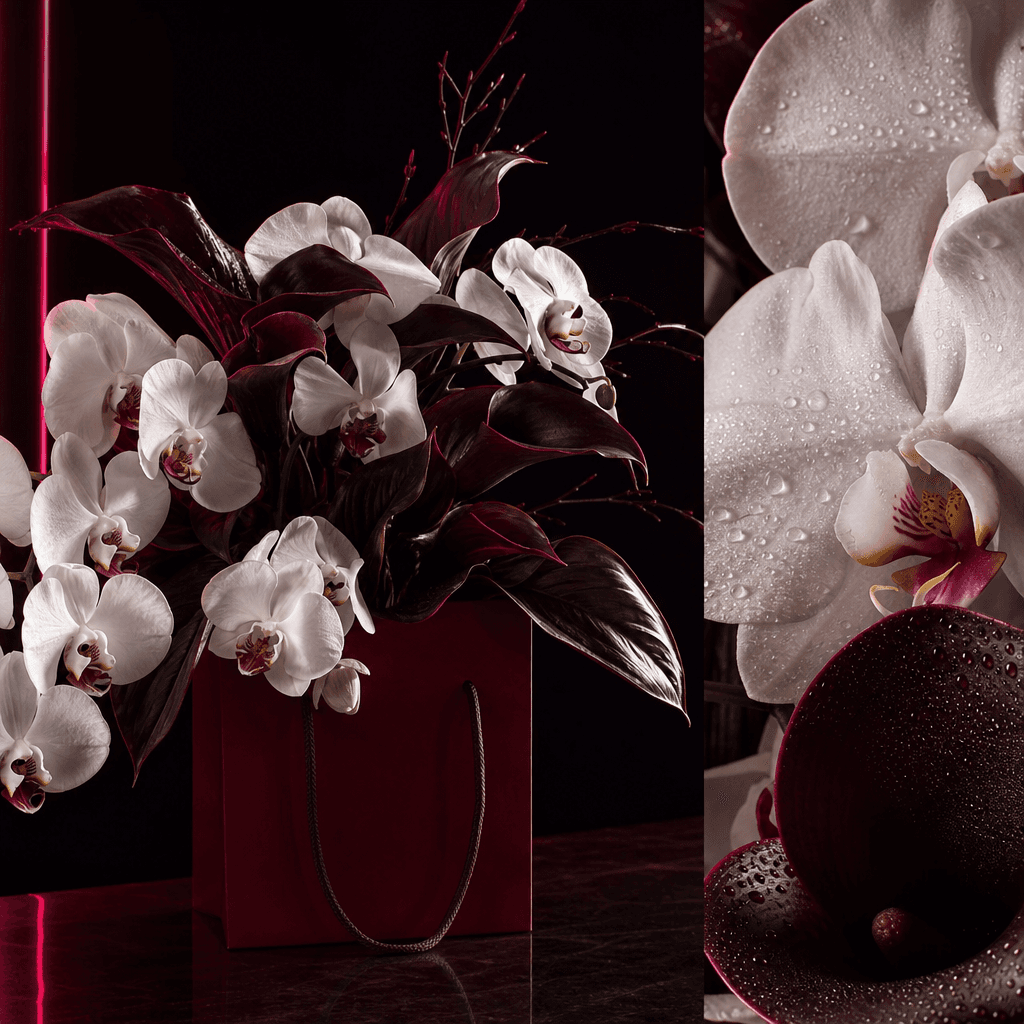 A sophisticated white orchid and calla lily arrangement in a deep burgundy florist bag, with a macro botanical panel emp