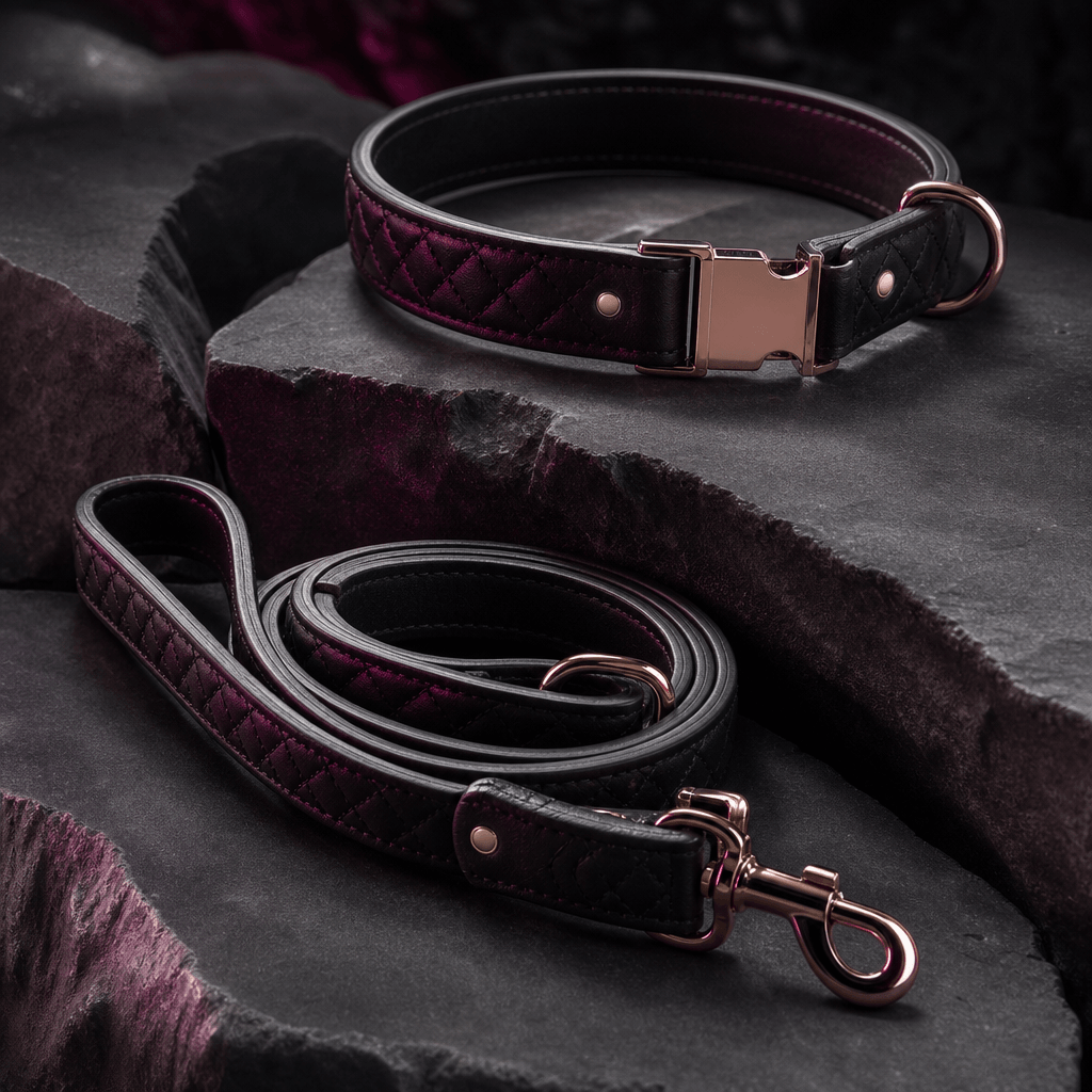 A luxury leather dog collar and matching leash displayed on sculpted dark stone with precise metal details, photographed