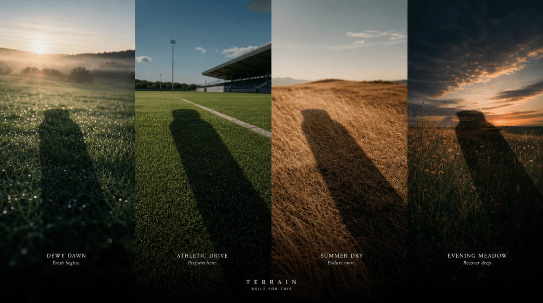 Four distinct grass environments arranged as a continuous cinematic landscape: dewy dawn, bright athletic turf, dry summ