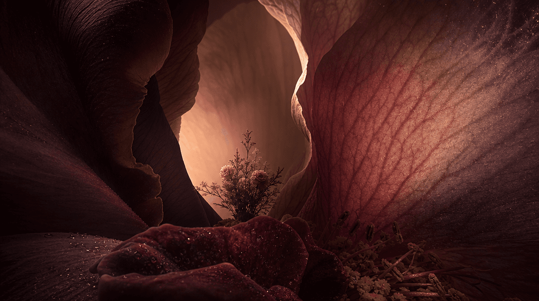 An abstract botanical landscape formed from enormous overlapping flower petals, with a miniature bouquet silhouette visi