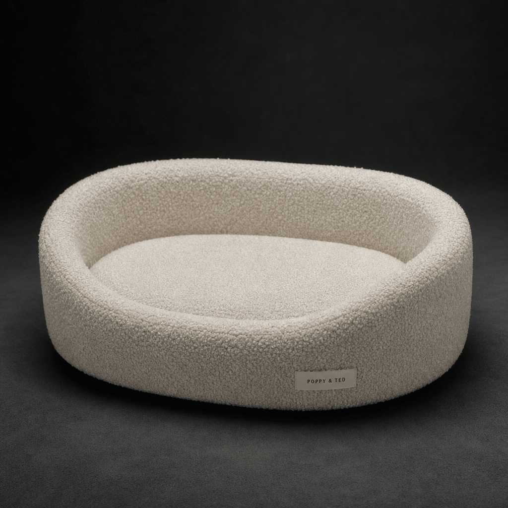 Dark studio product photography of a modern pet bed in cream boucle fabric, softly lit from directly above with diffused