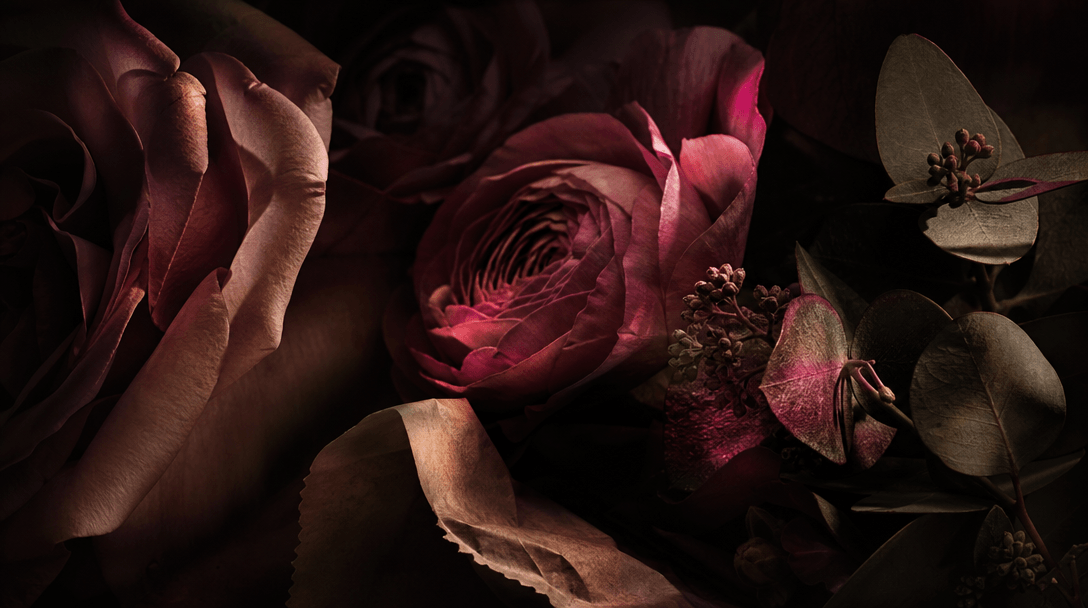 Macro landscape of layered rose petals, ranunculus folds, eucalyptus leaves, and textured bouquet paper emerging from ne