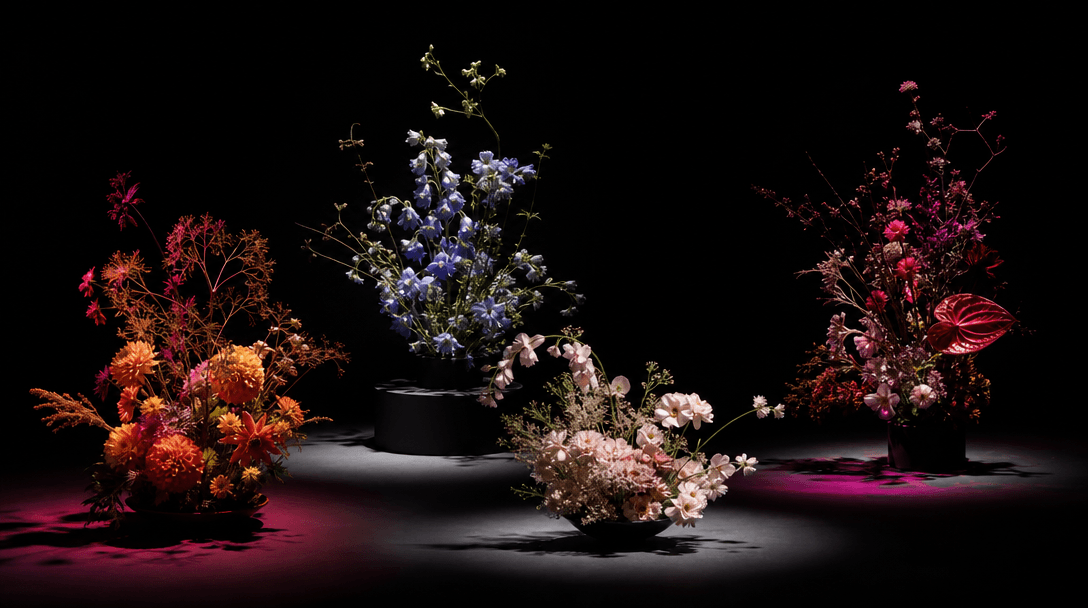 Four distinct floral arrangements emerging from layered pools of light across a near-black studio, each with different p